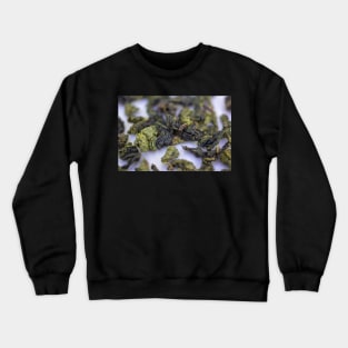 Oolong Ooclose Crewneck Sweatshirt